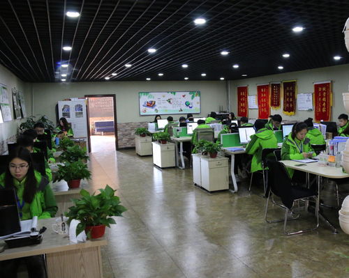 吉林省花立方网络科技 引领创新的网络技术服务提供商