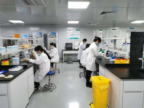 一人一窗一道景，一言一行一份情 网络技术服务的温度与价值